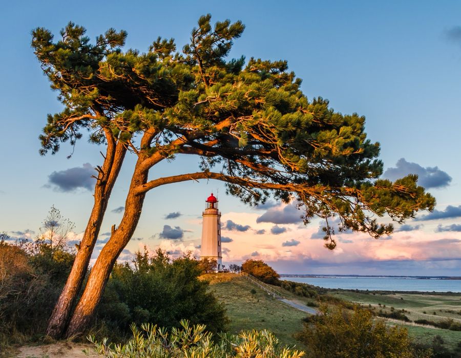 WordPress Relaunch für Tourismus & Kurverwaltungen – Webdesign mit API & Buchungssystem