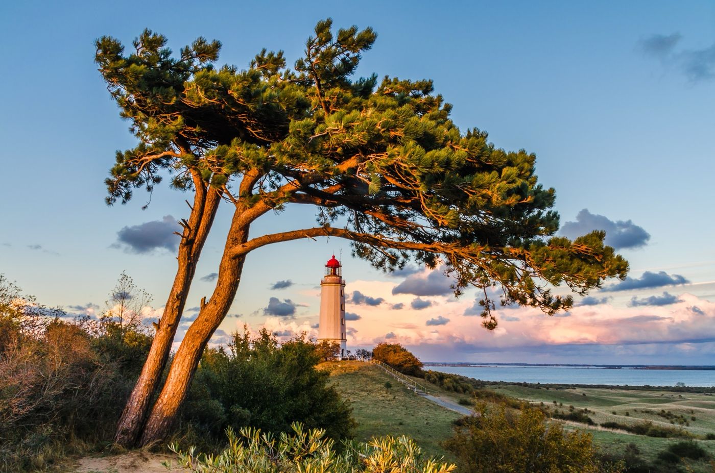 Von der Insel ins Netz - Wie Hiddensee digital Segel setzte